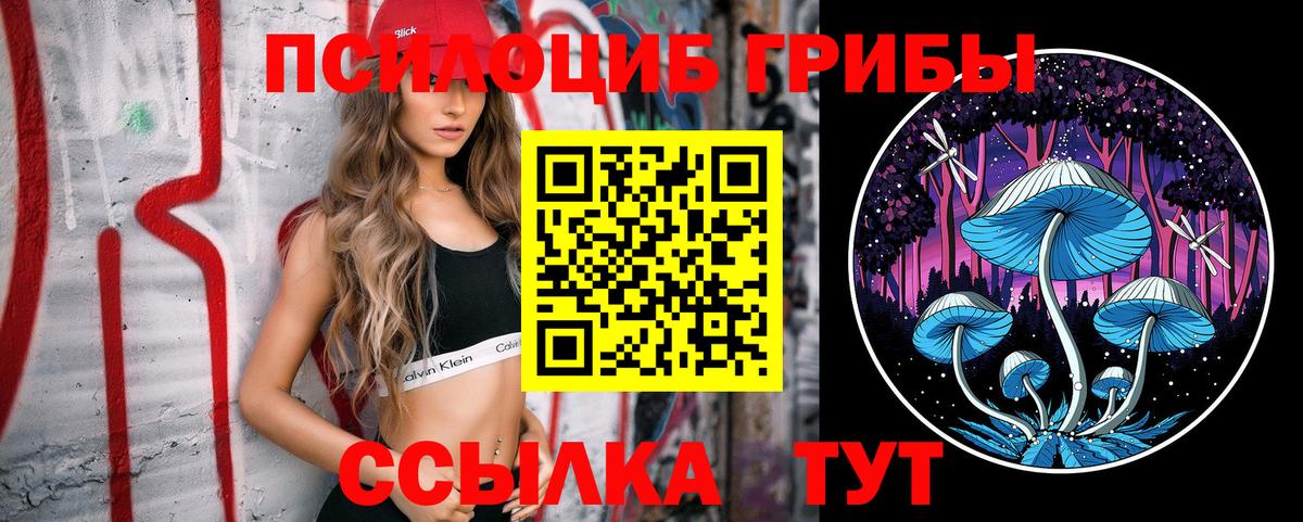 Псилоцибиновые грибы мухоморы Гусь-Хрустальный