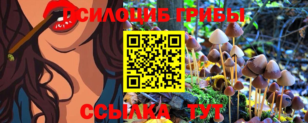 Галлюциногенные грибы ЛСД  что такое   Галлюциногенные грибы MAGIC MUSHROOMS  Гусь-Хрустальный  Вход с VPN 